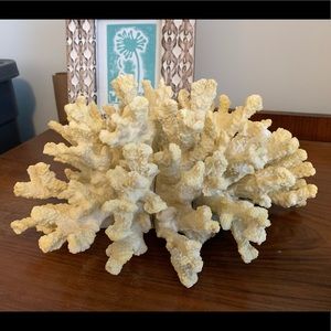 Plaster Molded Vintage Coral